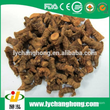 2014 new crop galangal with high quality